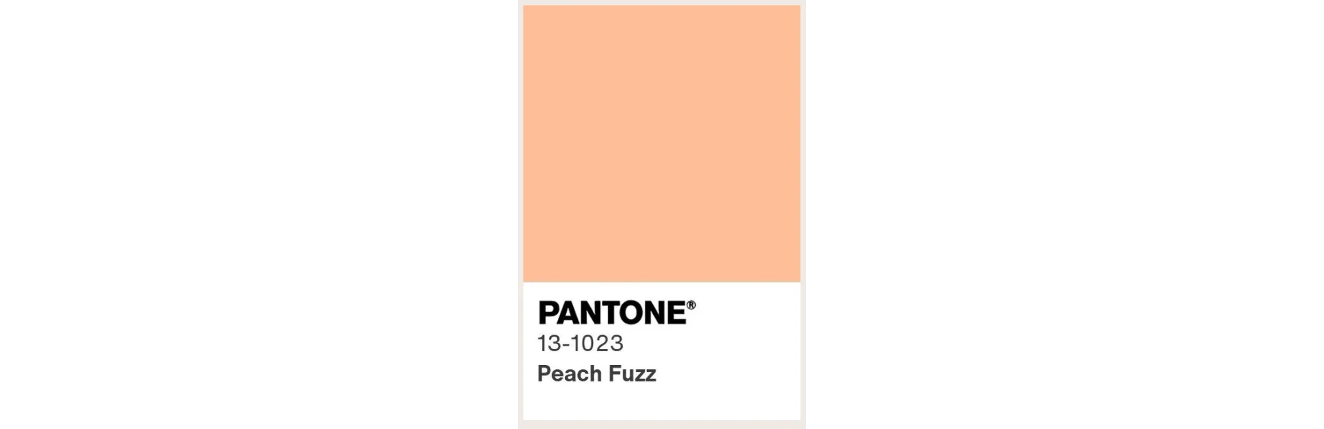 Couleur Pantone 2024 douce chaleur bien-être connexion humaine Peach Fuzz 