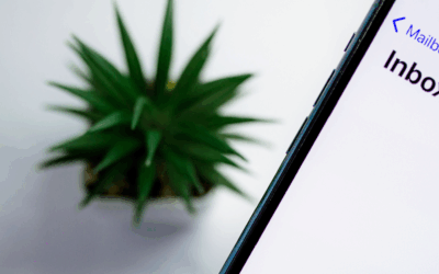 Pourquoi l’email reste le canal numéro 1 en B2B ?